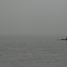 Lake Bosomtwe impressions, Ghana - IMG_1433_CR2