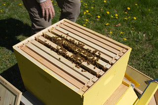 Removing the Burr Comb
