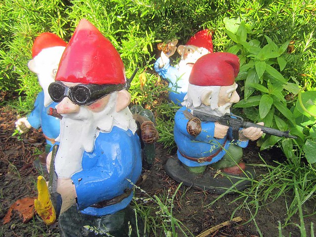 more combat garden gnomes