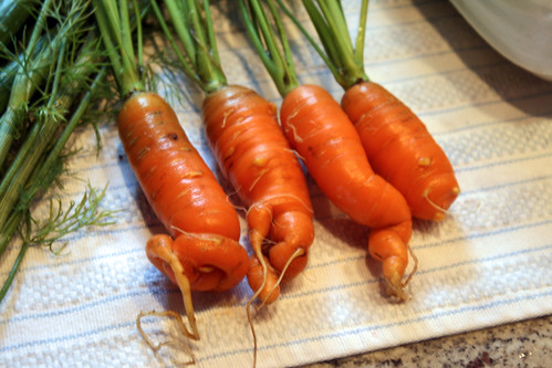 crooked carrots