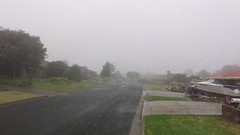 Foggy Morning - Aug 03 2012