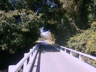 Bridge, Stanley River