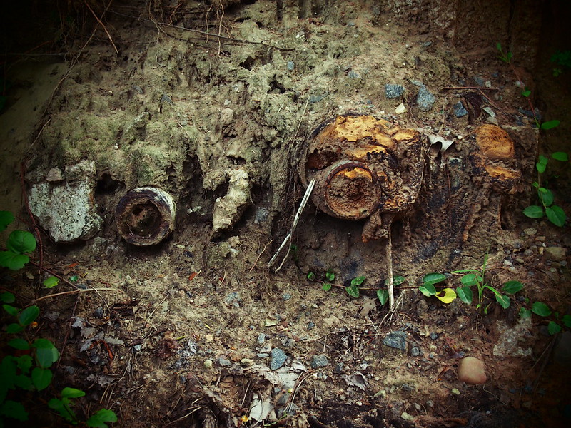 Rotted Roots and Pipes