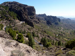 Gran Canaria - Roque Nublo's Surroundings in the Spring