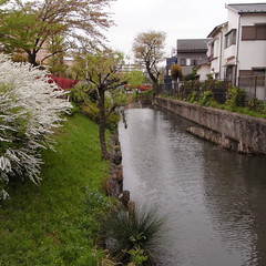 古隅田川