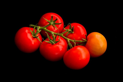 Vine tomatoes on black by RuudMorijn