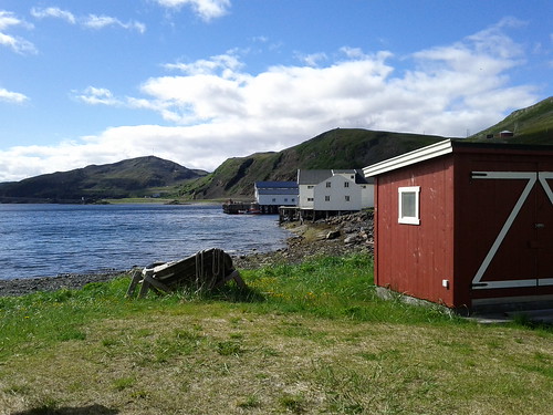 Kongsfjord XII: Brilliant view