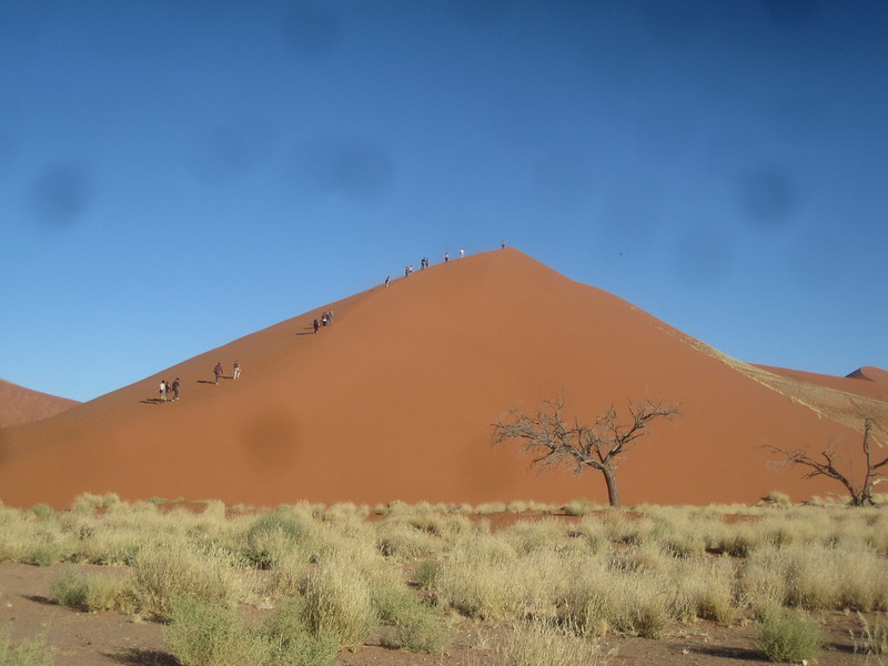 Namibia  Africa Dune 45