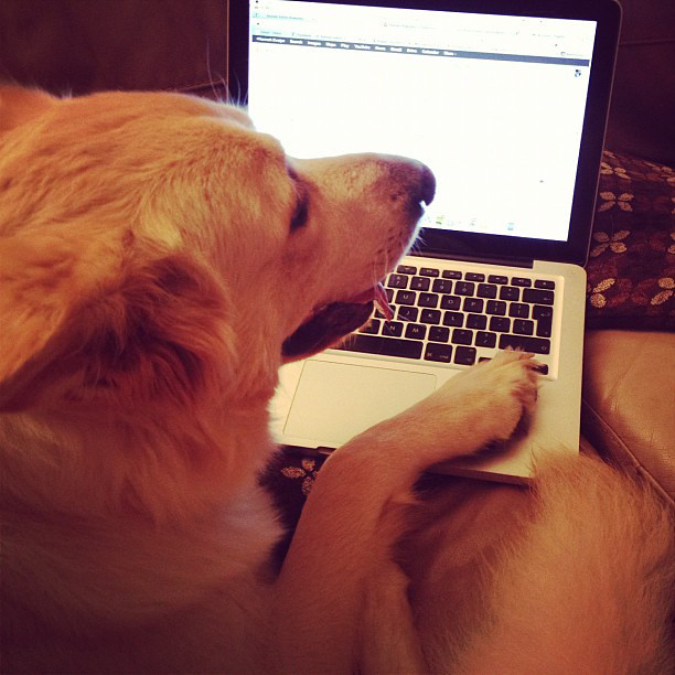 Poz helping with my emails