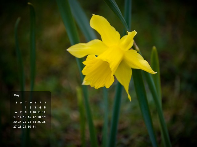 May 2012's Calendar :: 1024x768