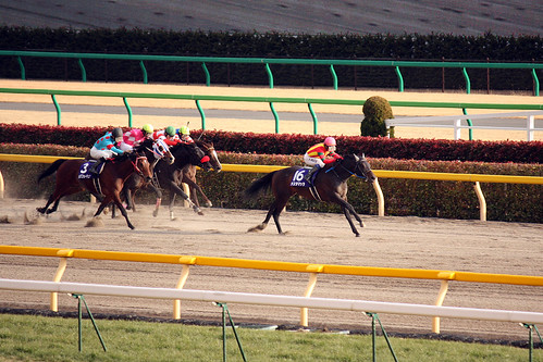20120219 フェブラリーS / February Stakes