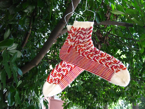 Socks Just Grow on Trees, Right?
