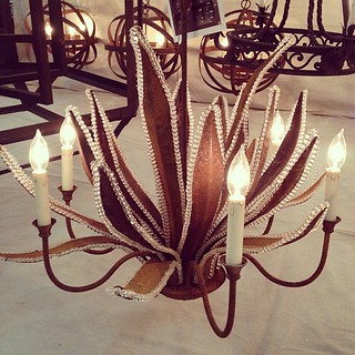 Gorgeous light fixture for Isabella