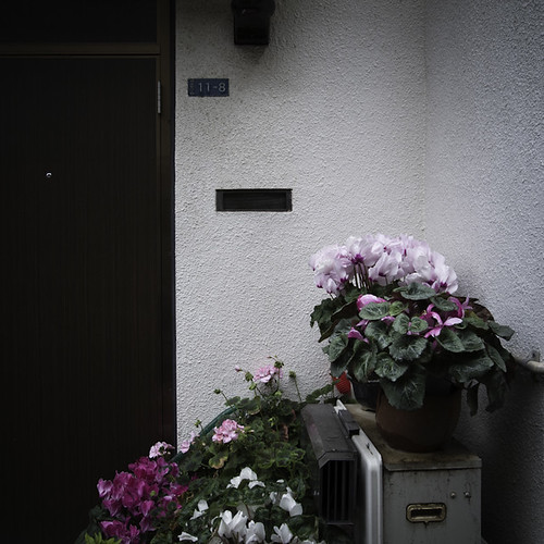 Flower Full Door, Harajuku
