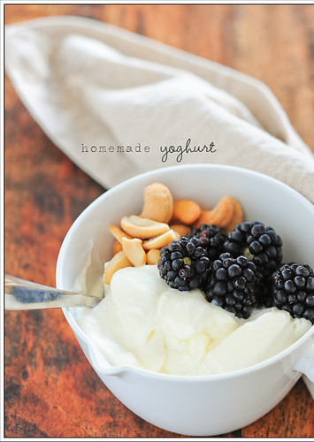 homemade yoghurt3