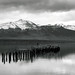 Patagonia en blanco y negro, Región de Magallanes, Chile