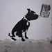 Dog, Stewy stencils, Ruby Lounge, Margate