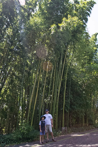 in front of bamboo