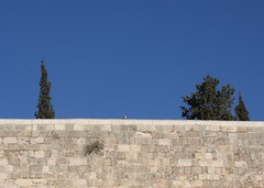 Israel - November 2009