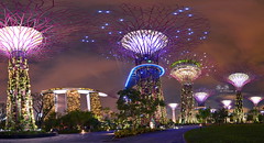 Gardens by The Bay [SG]