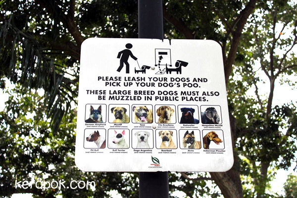 Dog Signs.....