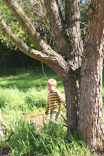 Asher Hunting Eggs
