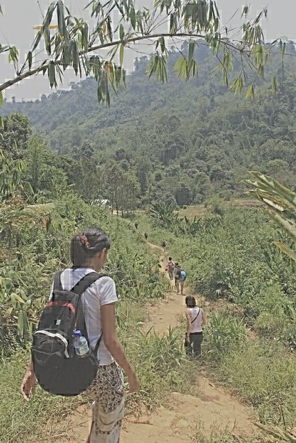 Jungle Trekking at Lojing Highlands