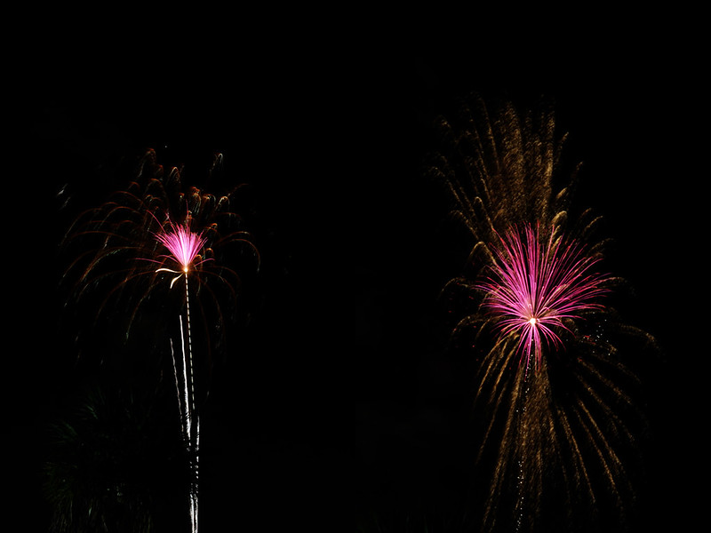 Fourth of July 12 diptych