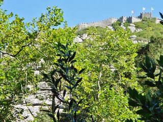 Rock Climbing is below the Moorish Castle