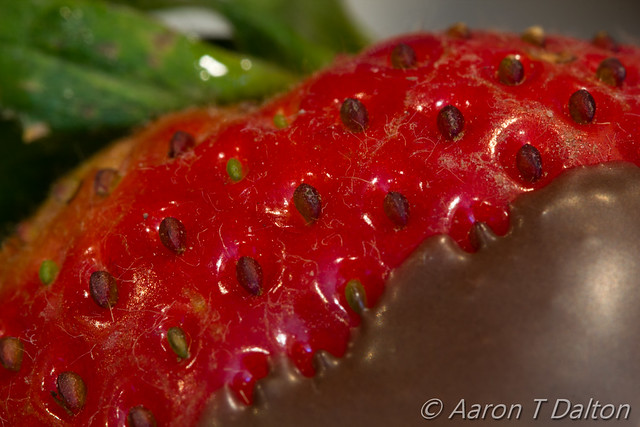 Close Chocolate Berry