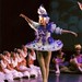 ballet 2012 (5)