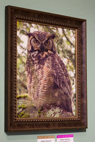 Great Horned Owl in Oak