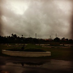 30/31: calm (before the storm) -- taken yesterday before the rains and winds got really strong. #photoadayjuly