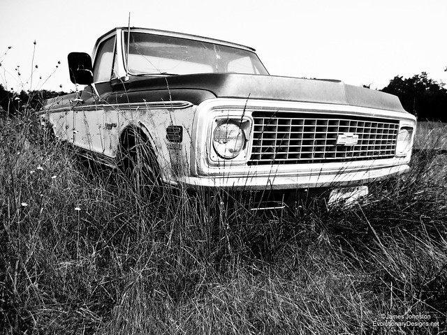 Abandoned 60s Chevrolet Custom/10 Deluxe Truck