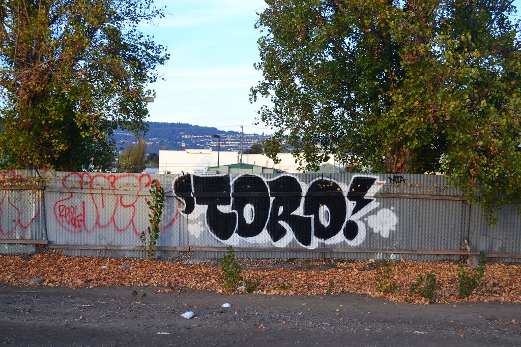 TORO, MTA, Street Art, Oakland, Graffiti