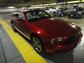 Hertz Mustang Rental
