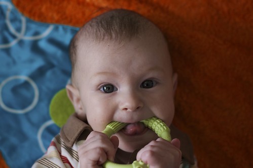 Junior and the teething ring