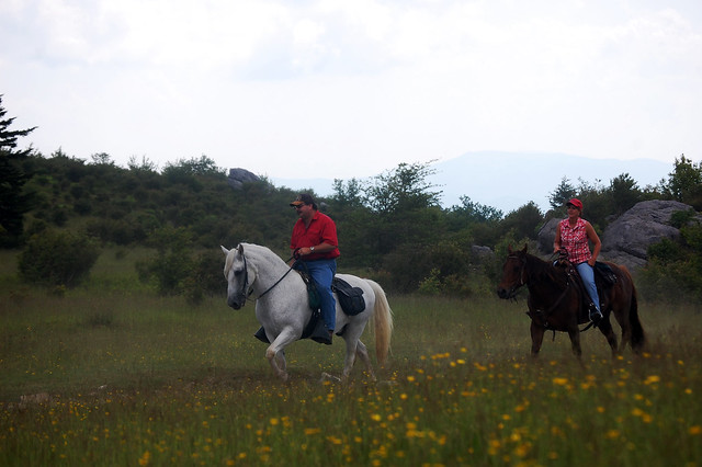 Horseback riding at Grayson Highlands State Park