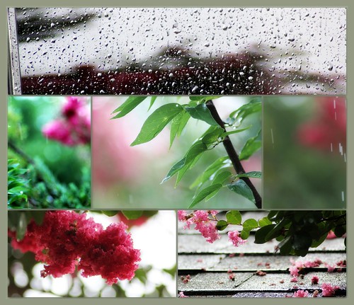 Soft Summer Rain by Sparky2*