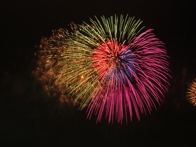 Fireworks Over Tokyo Bay