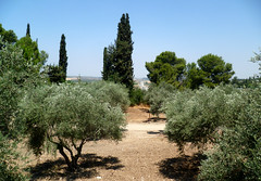 Israel, Latrun Overlooking the Road from Tel Aviv To Jerusalem