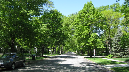 The very tree lined streets of Wilmette Illinois. May 2012. by Eddie from Chicago