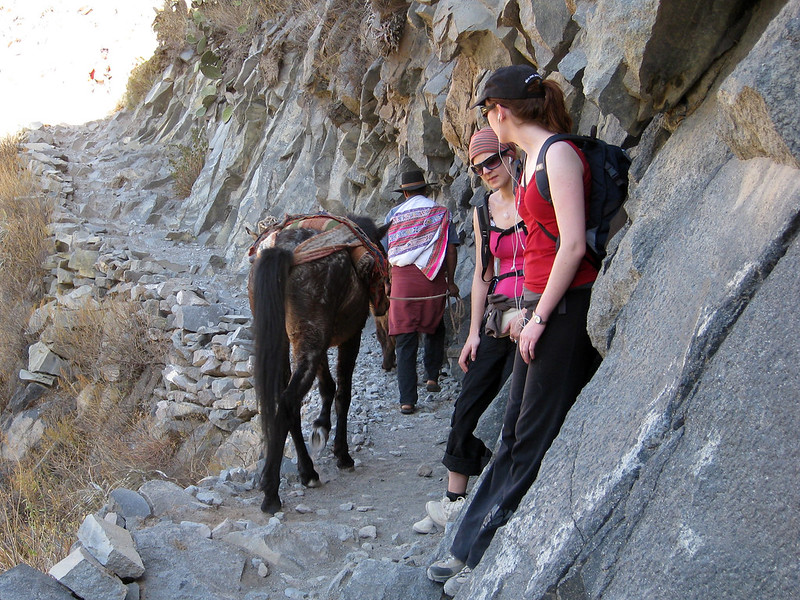 Beware of donkeys! - Colca Canyon - Peru