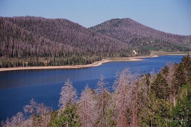 Navajo lake