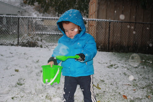 First Snow of 2012
