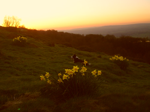 Chevin Sunsets 002