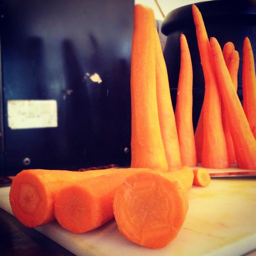 Carrot (90/366) by elawgrrl