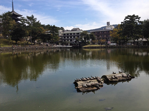 Sarusawa-Ike Pond