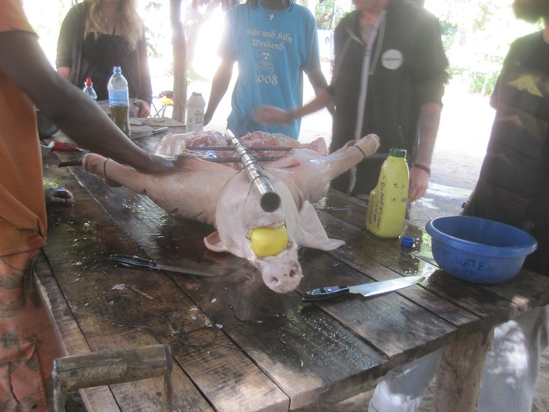 Malawi Piggy Africa