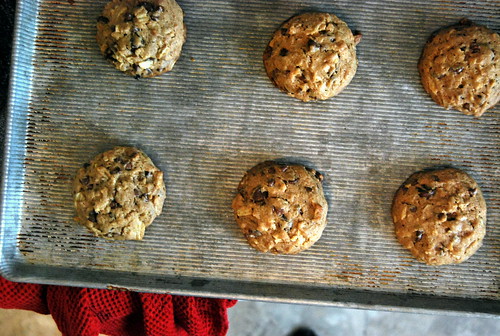 counter - finished cookies